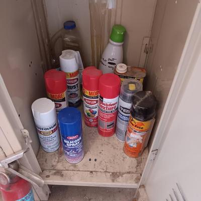 MOSTLY HOUSEHOLD CHEMICALS AND CANS OF SPRAY PAINT