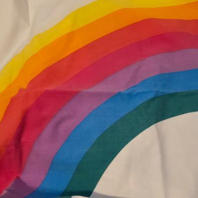 Mid Century Rainbow Pillow Cases
