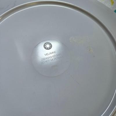 (3) Plastic Plates