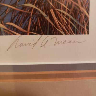 Signed Waterfowl Stamp Prints (B1-KD)