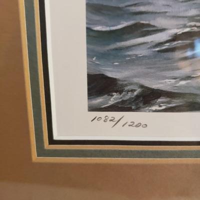 Signed Waterfowl Stamp Prints (B1-KD)