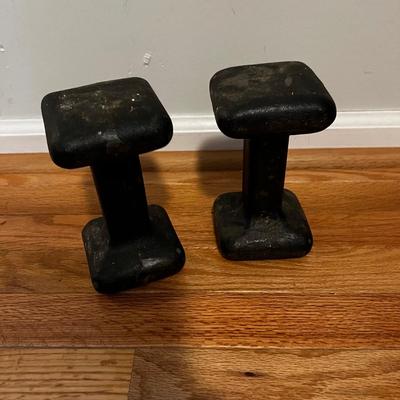 Evoland Pedal Exerciser, Free Weights, & More Fitness Equipment (B2-MK)