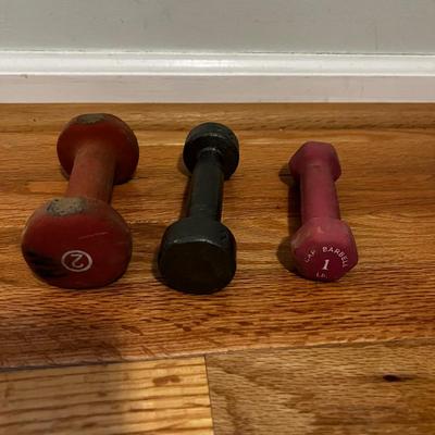 Evoland Pedal Exerciser, Free Weights, & More Fitness Equipment (B2-MK)