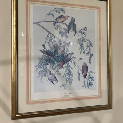 large framed bird print