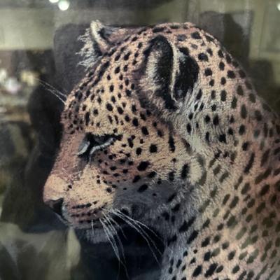 large leopards print