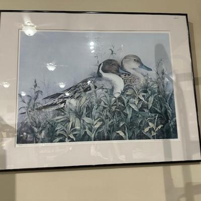 Duck print framed