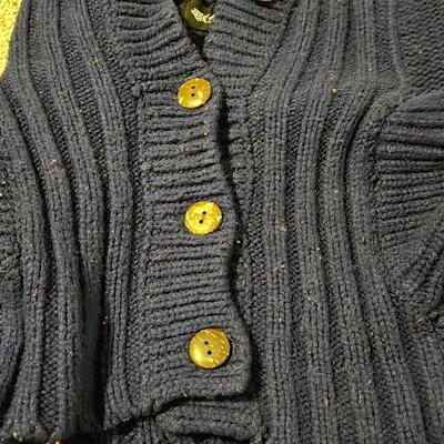 Navy Blue Dog Hooded Sweater