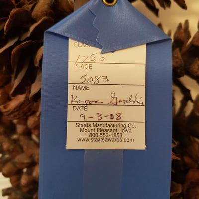 First Place NC State Fair Pine Cone Wreath (H-KD)