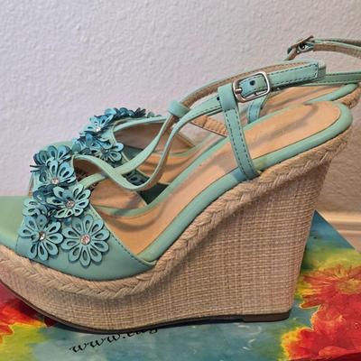 Blue Flower Wedges with the Box