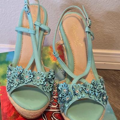 Blue Flower Wedges with the Box