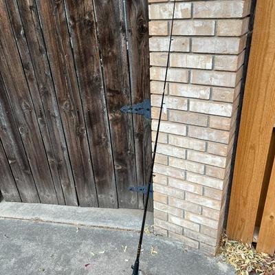 Zebco 33 Fishing Pole