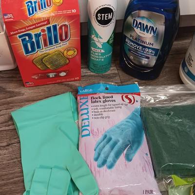 Cleaning products and cleaning tools with a mop bucket and new rubber gloves
