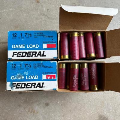 12 GAUGE SHOTGUN SHELLS