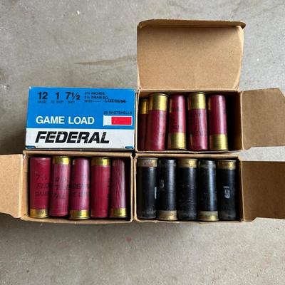 12 GAUGE SHOTGUN SHELLS