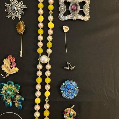 Collection of Costume Jewelry including Sterling Pin