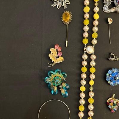 Collection of Costume Jewelry including Sterling Pin