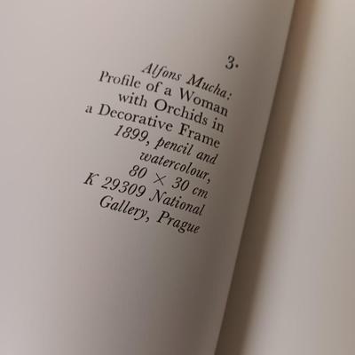 Hardback book Art Nouveau Drawings Per Wittich and the art Pack pop-up book
