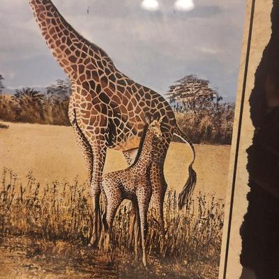 Framed giraffe print mother and baby