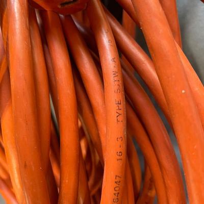 Electric cord