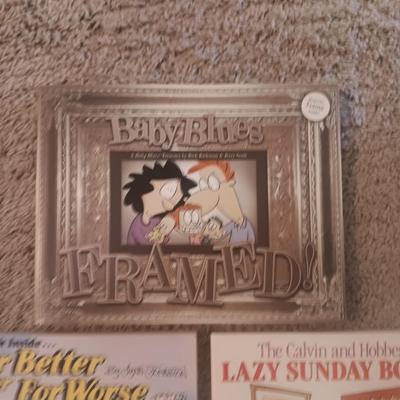 THE FAR SIDE, CALVIN AND HOBBES & MORE HUMOROUS COMIC BOOKS