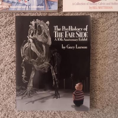 THE FAR SIDE, CALVIN AND HOBBES & MORE HUMOROUS COMIC BOOKS