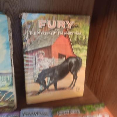 3 VINTAGE CHILDREN'S NOVELS, NEW JUMBLE PUZZLE BOOKS AND A PUZZLE
