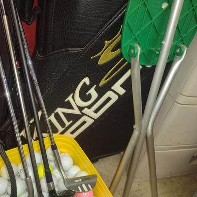Nice Collection of Golfing Equipment includes Clubs, King Cobra Bag, Shag Balls, Airline Carry Bag and More