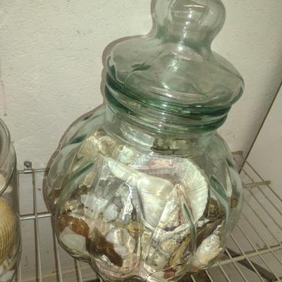 Collection of Seashells in Glass Containers