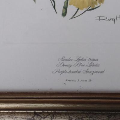 Framed Art Set of Three Flora Prints by Ray Harm Choice A