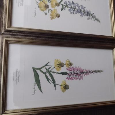 Framed Art Set of Three Flora Prints by Ray Harm Choice A