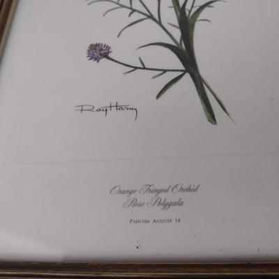 Framed Art Set of Three Flora Prints by Ray Harm Choice A