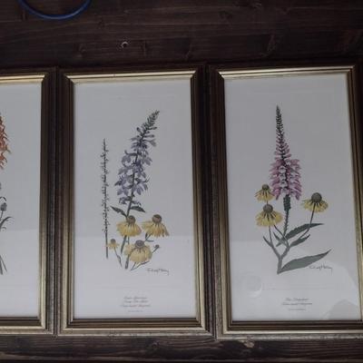 Framed Art Set of Three Flora Prints by Ray Harm Choice A