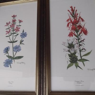 Framed Art Set of Three Flora Prints by Ray Harm Choice B