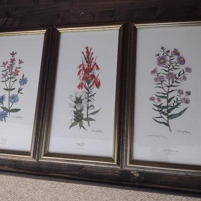 Framed Art Set of Three Flora Prints by Ray Harm Choice B