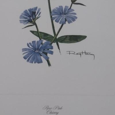 Framed Art Set of Three Flora Prints by Ray Harm Choice B