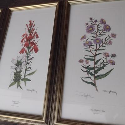 Framed Art Set of Three Flora Prints by Ray Harm Choice B
