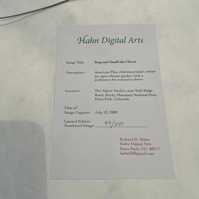 Hahn's Digital Arts: Stop and Smell The Clover - Limited Edition 49/250