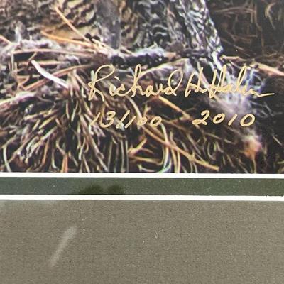 Hahn's Digital Arts: 3 Photo Framed Art- Black, Chocolate and Tan, Nurturing The Wide-Eyed Innocent, Newborn Twin Fawns