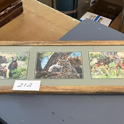 Hahn's Digital Arts: 3 Photo Framed Art- Black, Chocolate and Tan, Nurturing The Wide-Eyed Innocent, Newborn Twin Fawns