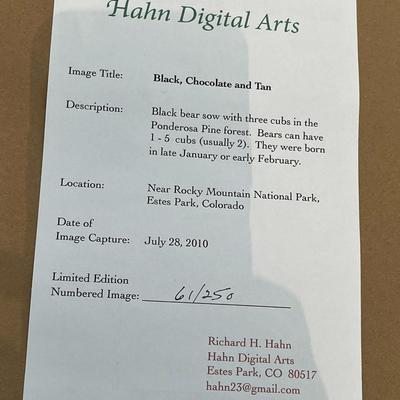 Hahn's Digital Arts: 3 Photo Framed Art- Black, Chocolate and Tan, Nurturing The Wide-Eyed Innocent, Newborn Twin Fawns