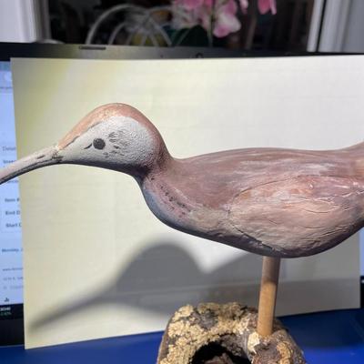 Vintage Hand Carved & Painted VIRGINIA Shore Bird Decoy 8" Tall x 8.75" Wide in VG Preowned Condition.