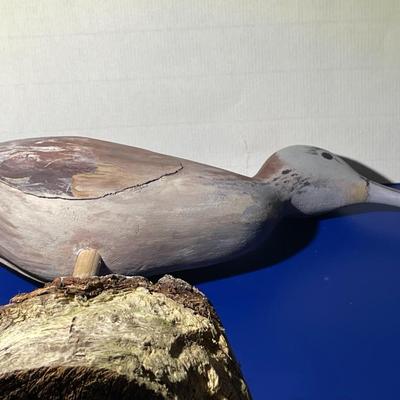 Vintage Hand Carved & Painted VIRGINIA Shore Bird Decoy 8" Tall x 8.75" Wide in VG Preowned Condition.