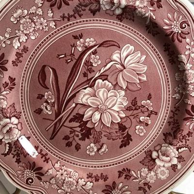 One Spode Georgian Botanical Plate Red Transferware Dinner Plate 10.5” Diameter in VG Preowned Condition.