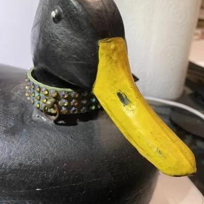 Vintage/Primitive Lighter Weight Wooden Duck Decoy 17+" Long in Good Preowned Condition as Pictured.