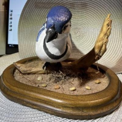 Hand Carved & Hand Painted Signed by Artist BLUEJAY Wooden Bird on Driftwood with Custom Made Base Bird & Base are 9.5" Long...