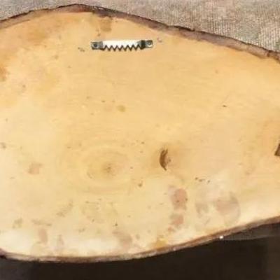 The Last Supper Large Size 12" x 21" on a Wooden Tree Slab Made in USA as Pictured.