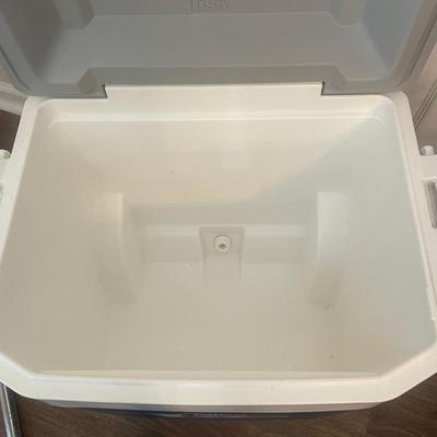 Lot 4 Igloo Cooler and Beach Chair
