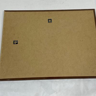 Presidents of the United States 1789-1960 12 X 16 framed poster