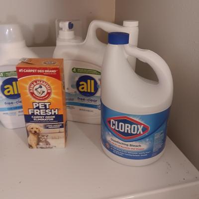 LAUNDRY CHEMICALS