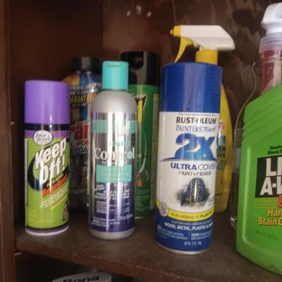 SPRAY PAINT AND HOUSEHOLD CLEANERS